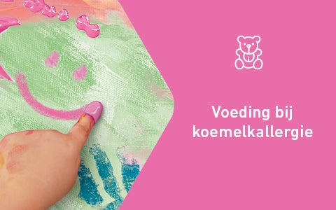 Beslisboom KMA